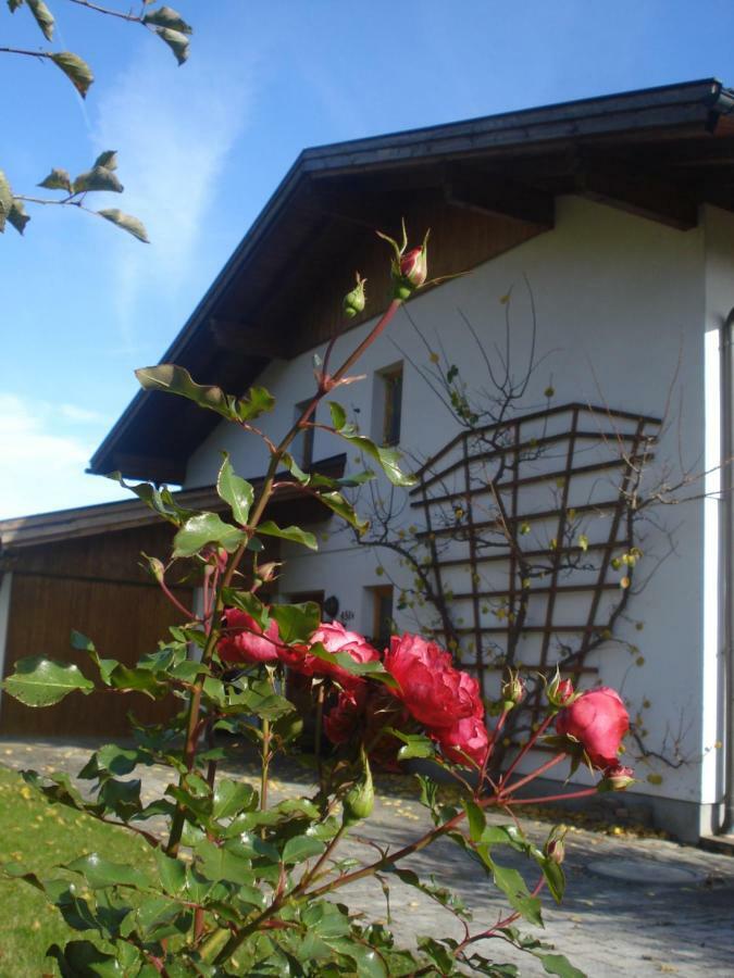 Haus Gasteig Villa Stans Exteriör bild